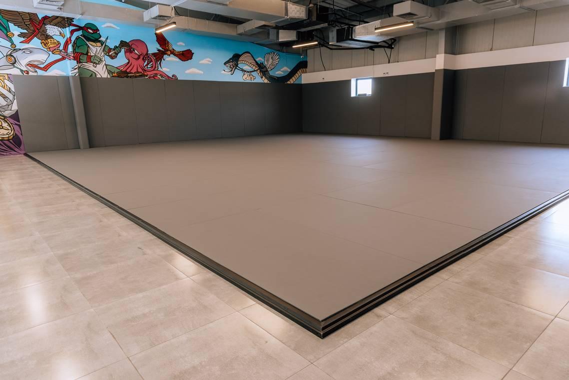 Boutique Gym with a Jiu Jitsu Space — photo 9