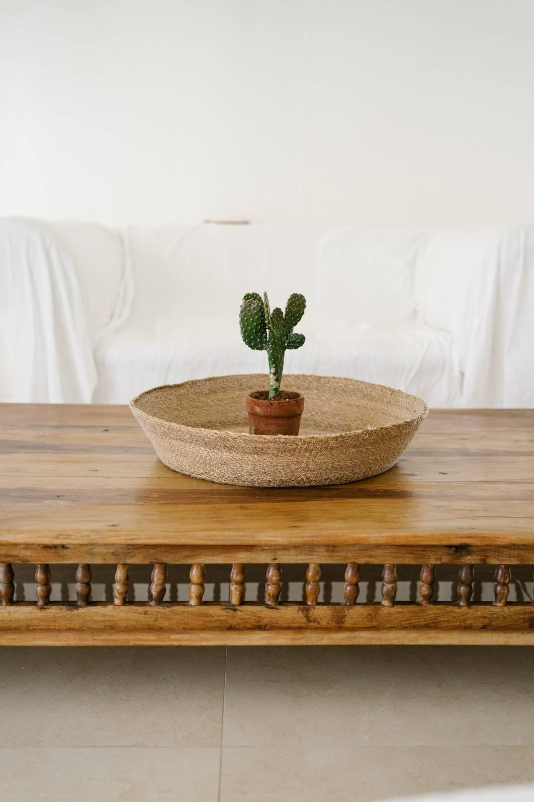 Nomad Villa Photoshoot Destination — photo 8