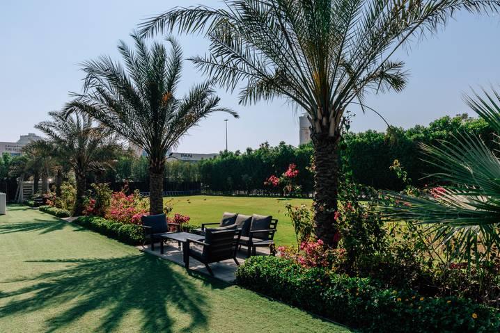 Green Outdoor Space for Photoshoot, Gatherings and Events — photo 6
