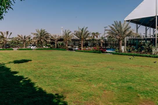 Green Outdoor Space for Photoshoot, Gatherings and Events — photo 4
