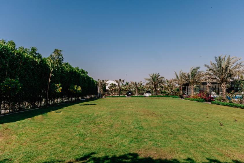 Green Outdoor Space for Photoshoot, Gatherings and Events — photo 3