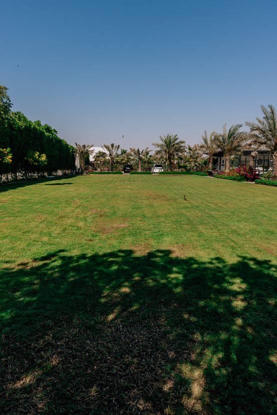 Green Outdoor Space for Photoshoot, Gatherings and Events — photo 8