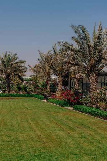 Green Outdoor Space for Photoshoot, Gatherings and Events — photo 7