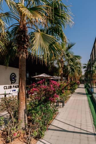 Outdoor Space Surrounded by Beautiful Landscape & Palm Trees for Photoshoot 1