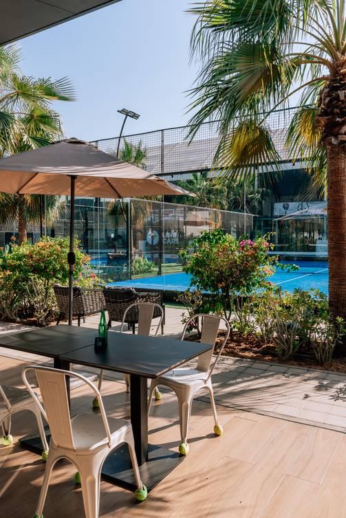 Outdoor Space Surrounded by Beautiful Landscape & Palm Trees for Photoshoot — photo 8