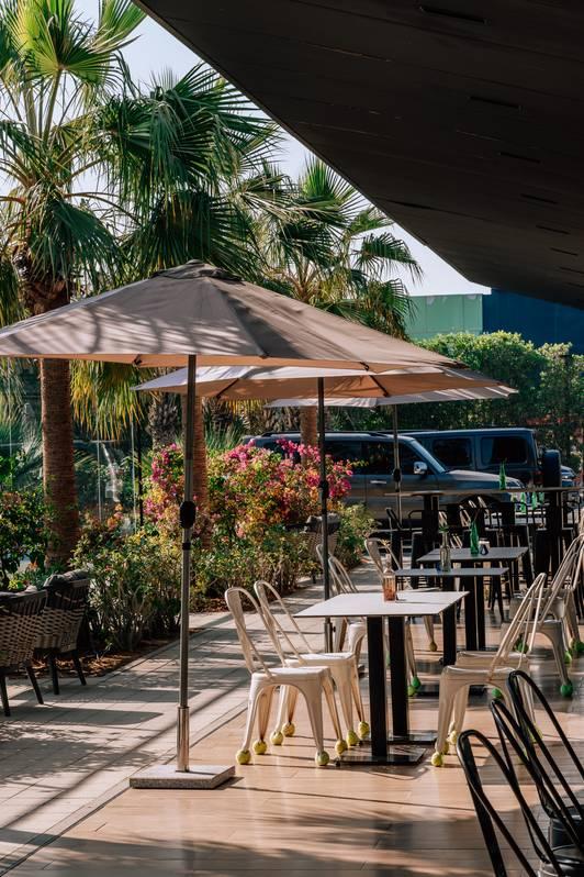 Outdoor Space Surrounded by Beautiful Landscape & Palm Trees for Photoshoot — photo 7