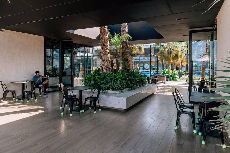 Outdoor Space Surrounded by Beautiful Landscape & Palm Trees for Photoshoot — photo 9