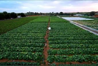 25-Acre Farm Haven with Animals, Gardens & Endless Creative Backdrops โ photo 7