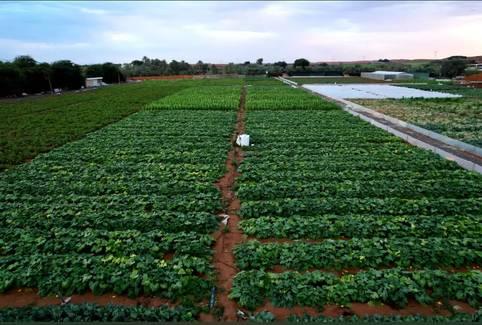 25-Acre Farm Haven with Animals, Gardens & Endless Creative Backdrops โ photo 7