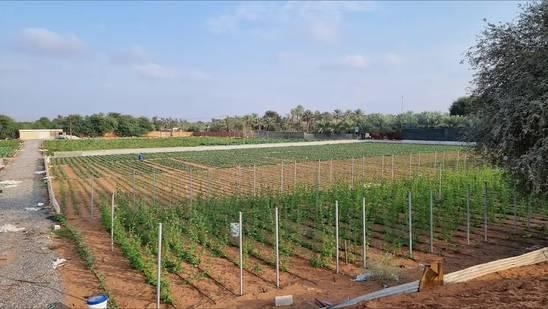 25-Acre Farm Haven with Animals, Gardens & Endless Creative Backdrops โ photo 4