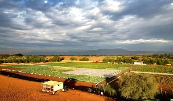 25-Acre Farm Haven with Animals, Gardens & Endless Creative Backdrops โ photo 2