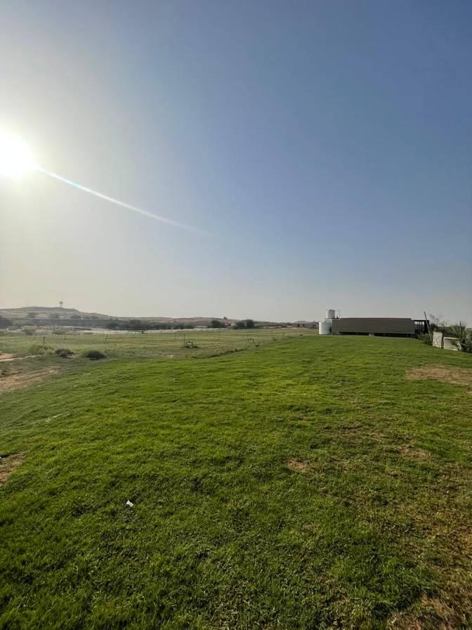 25-Acre Farm Haven with Animals, Gardens & Endless Creative Backdrops 3