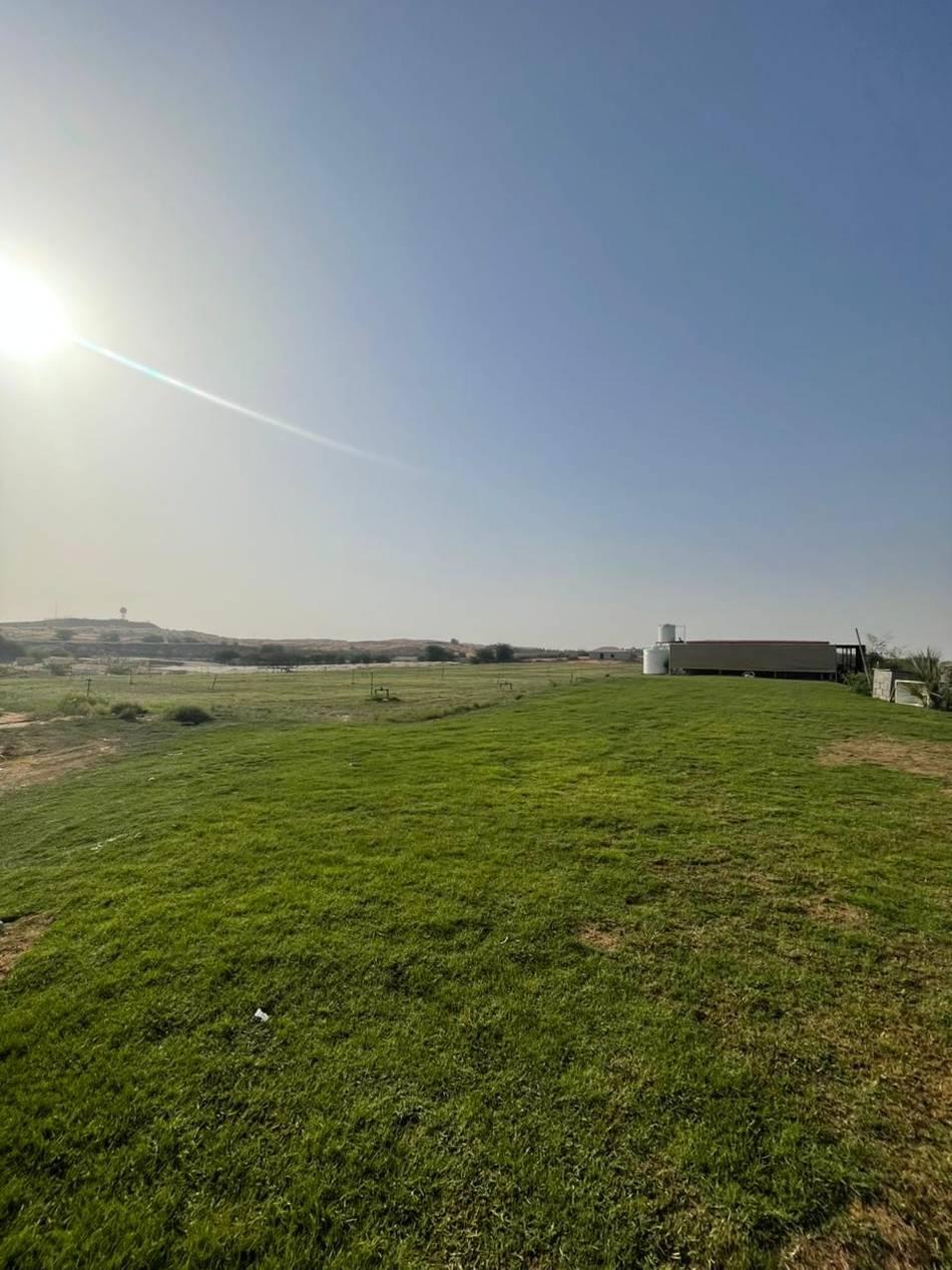 25-Acre Farm Haven with Animals, Gardens & Endless Creative Backdrops โ photo 3
