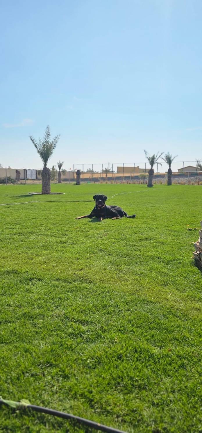 Farm Space with Spacious Green Lawn Area — photo 6