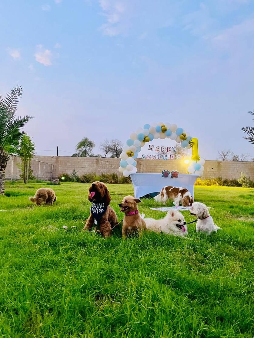 Farm Space with Spacious Green Lawn Area — main photo