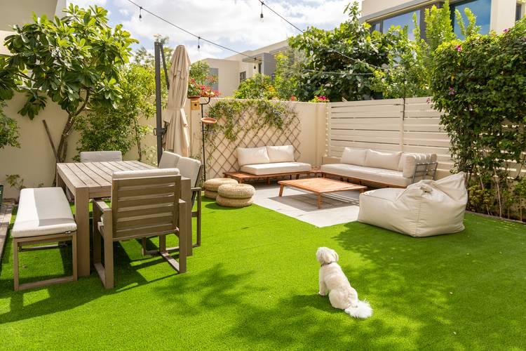 Cozy Villa for Photoshoots and Events — photo 6