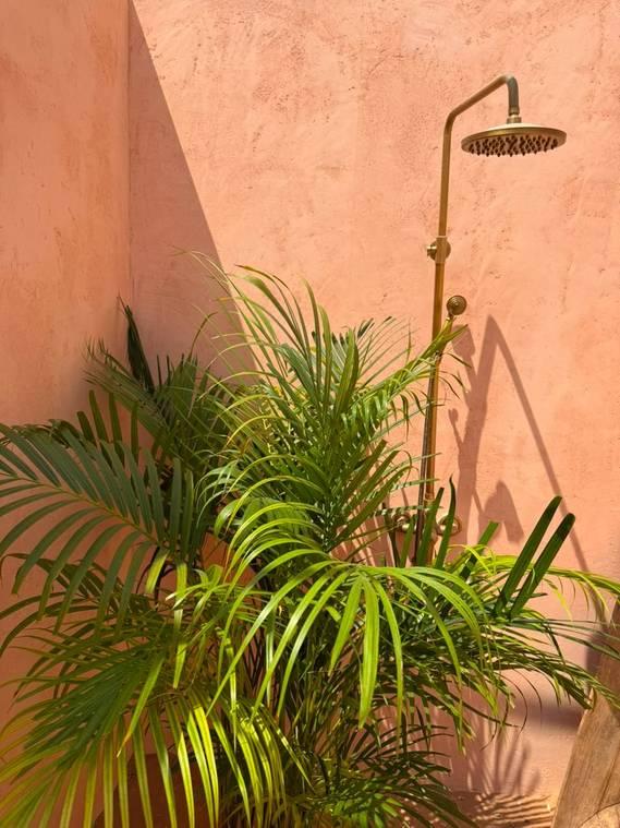 Stylish Outdoor Space for Content Creation and Photoshoot — photo 5