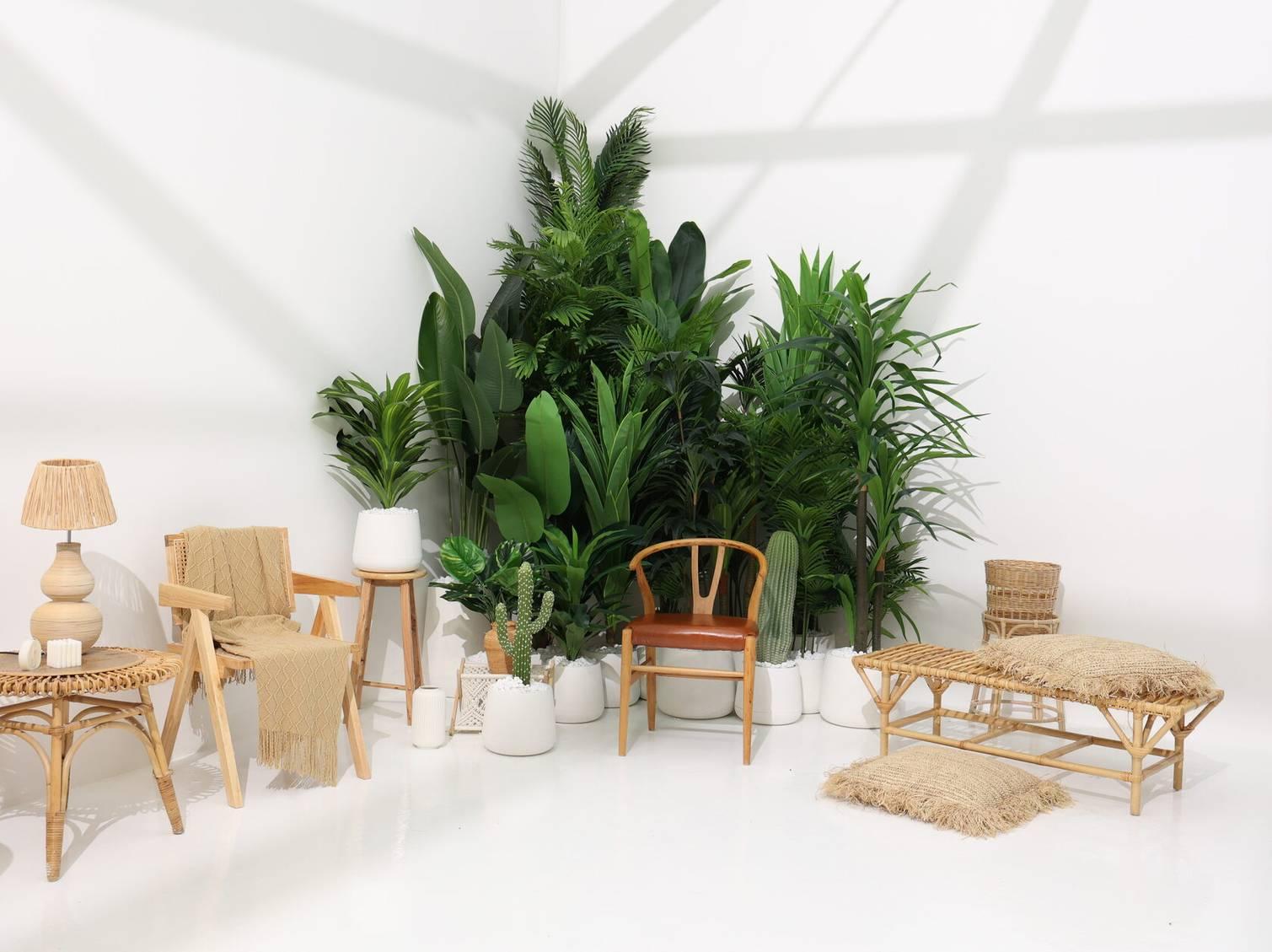 Bali Hall Tropical Photo Studio in Dubai — photo 10