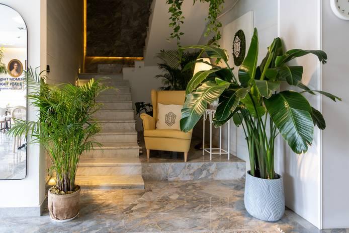 Fully Private Plant-Filled Cafe and Flowers Boutique in Al Manara for Shoots and Events — photo 10