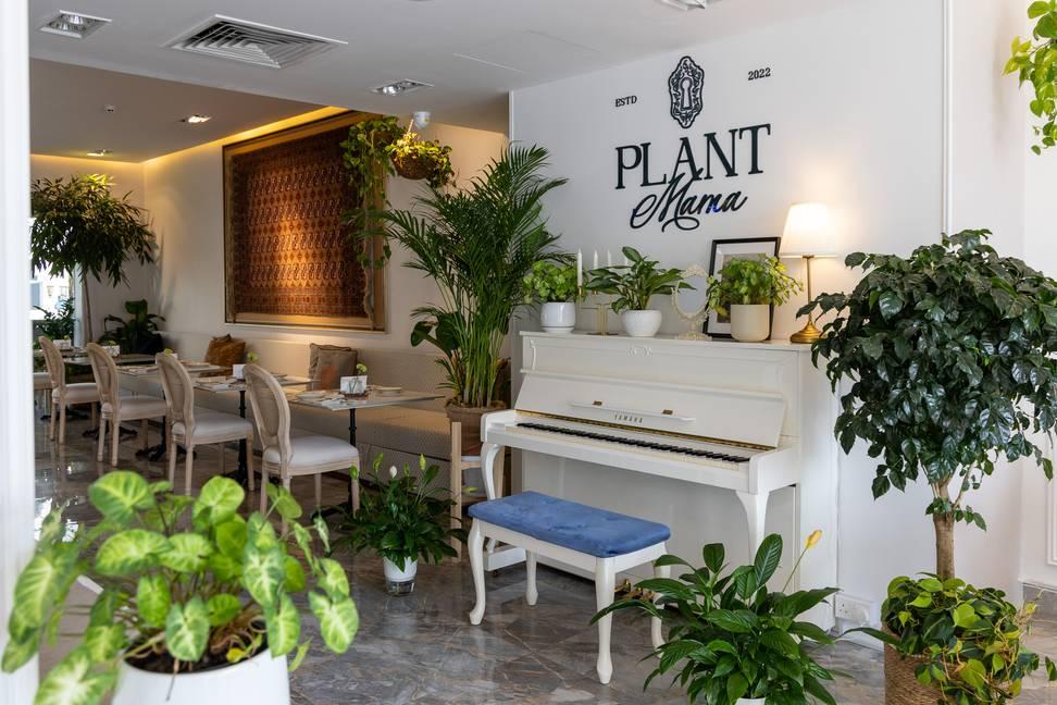 Fully Private Plant-Filled Cafe and Flowers Boutique in Al Manara for Shoots and Events — photo 19