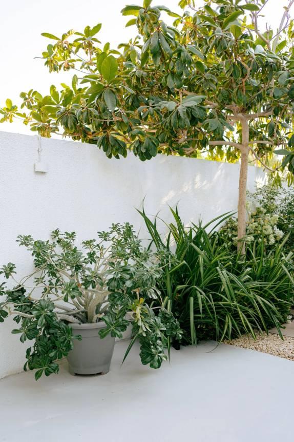 Bali-Inspired Villa for Photoshoots in Jumeirah 2, Dubai — photo 43