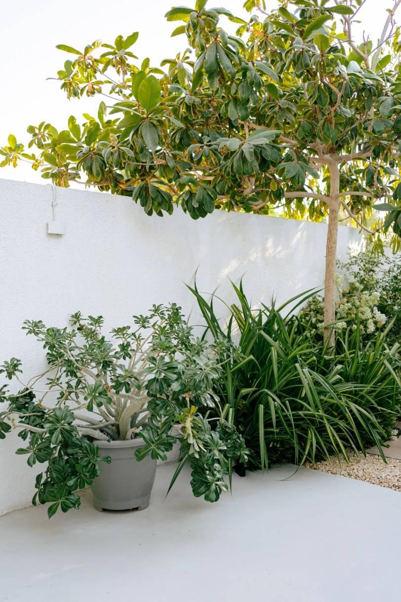 Bali-Inspired Villa for Photoshoots in Jumeirah 2, Dubai — photo 43
